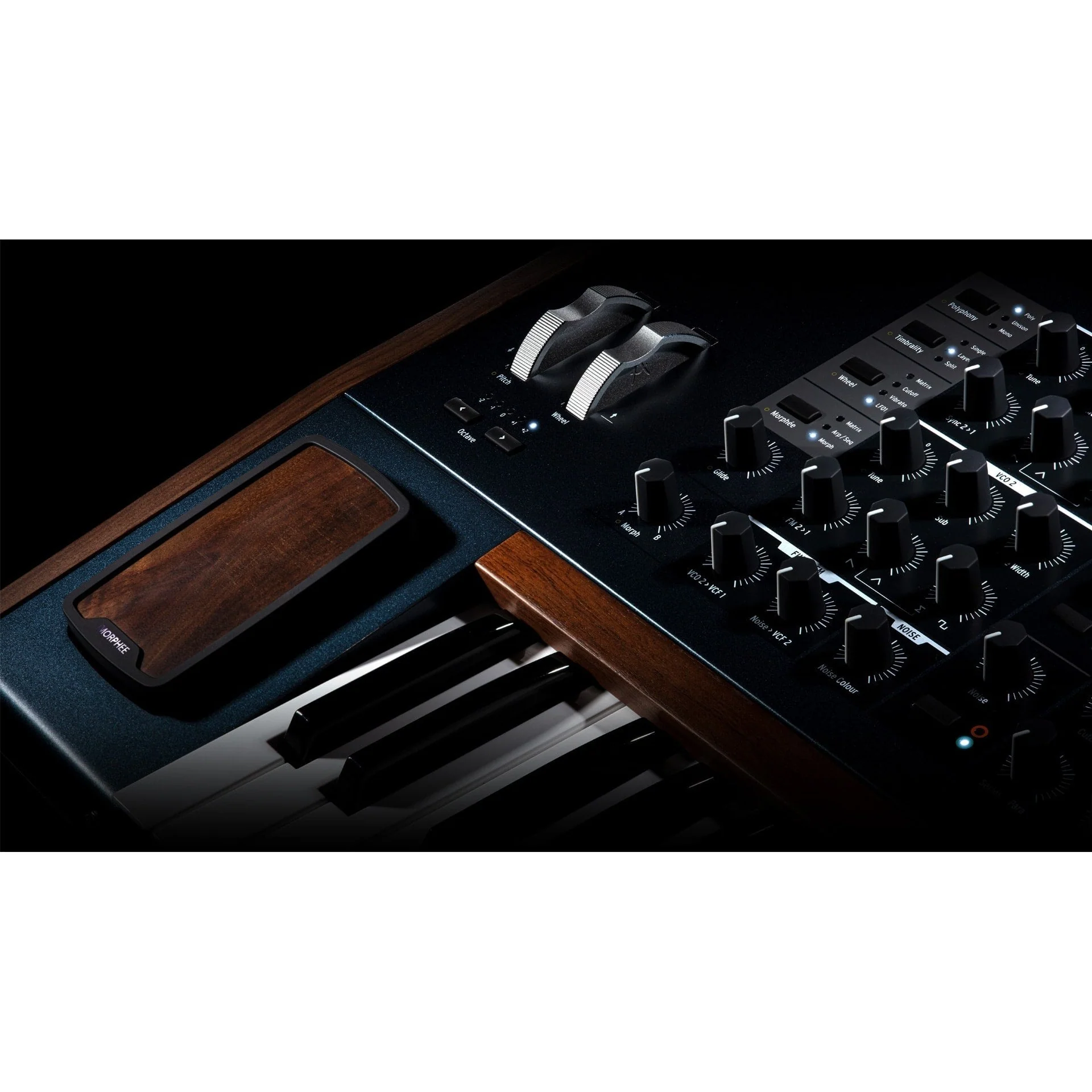 Arturia - Polybrute Morphing Analog Polysynth - Image 4