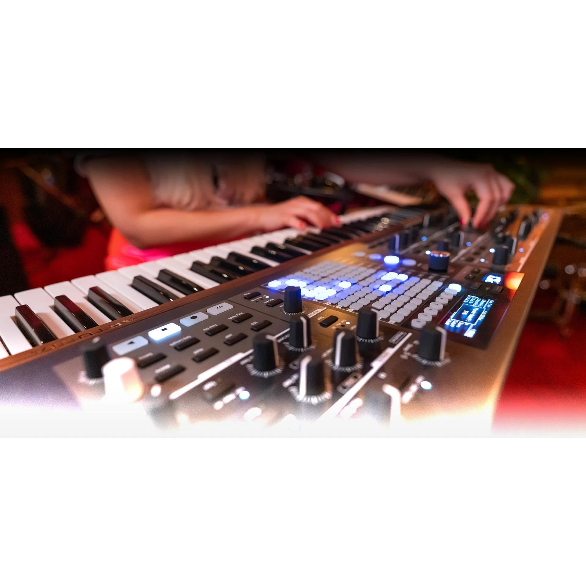 Arturia - Polybrute Morphing Analog Polysynth - Image 5
