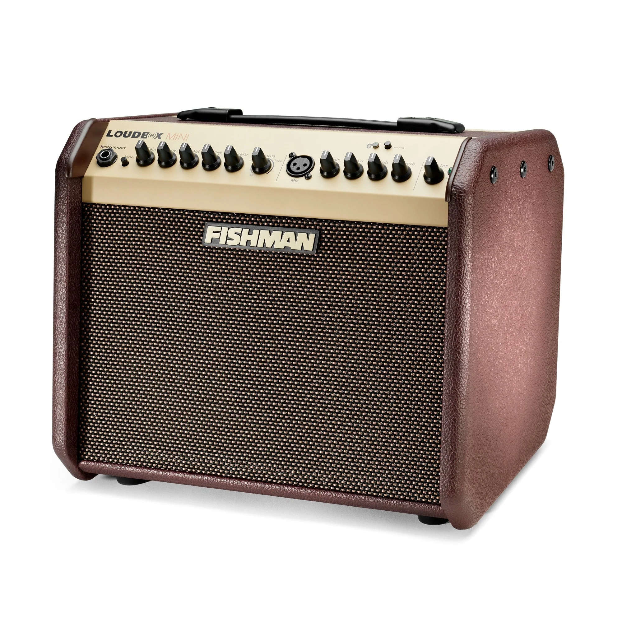Fishman - Loudbox Mini with Bluetooth® PRO-LBT-500 - Image 2