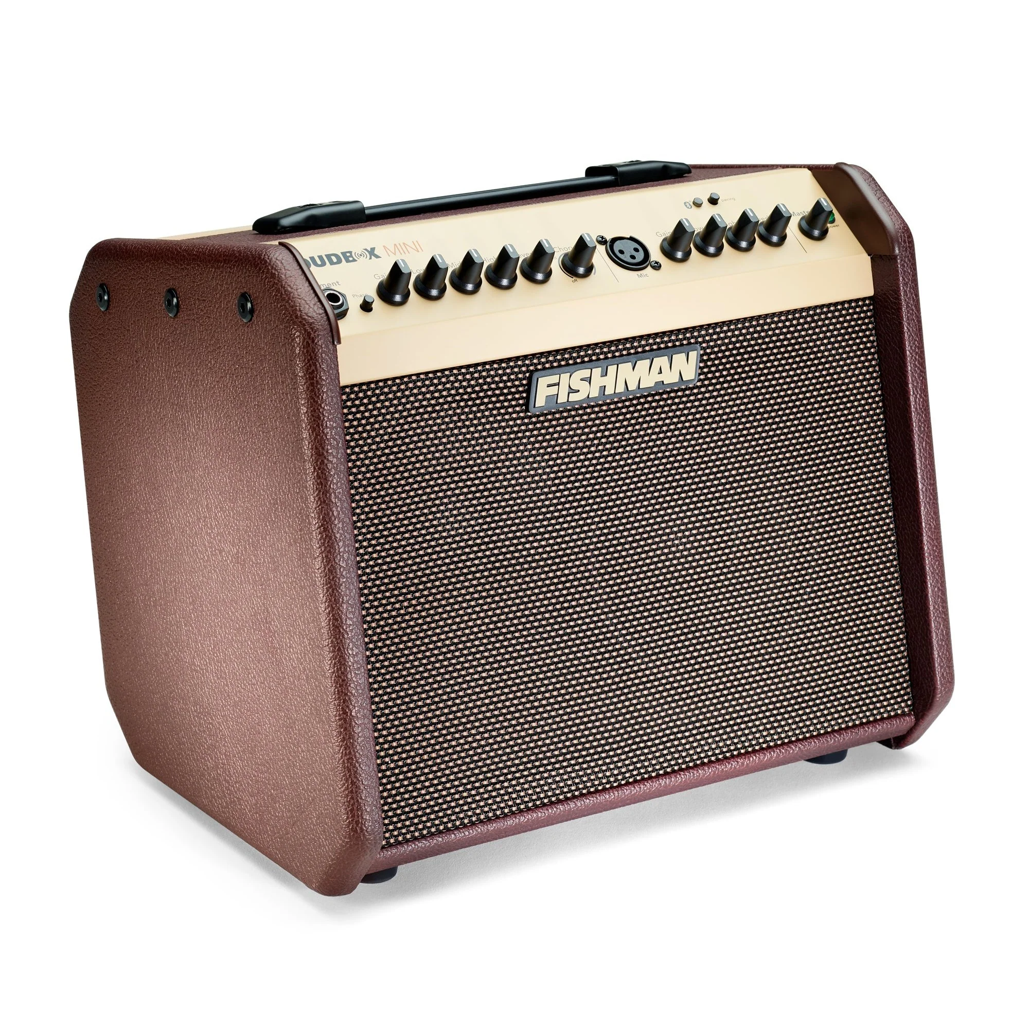 Fishman - Loudbox Mini with Bluetooth® PRO-LBT-500 - Image 3