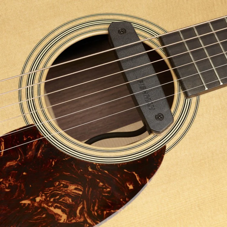 Fishman - Neo-D Magnetic Soundhole Pickup Humbucking PRO-NEO-D02 - Image 2