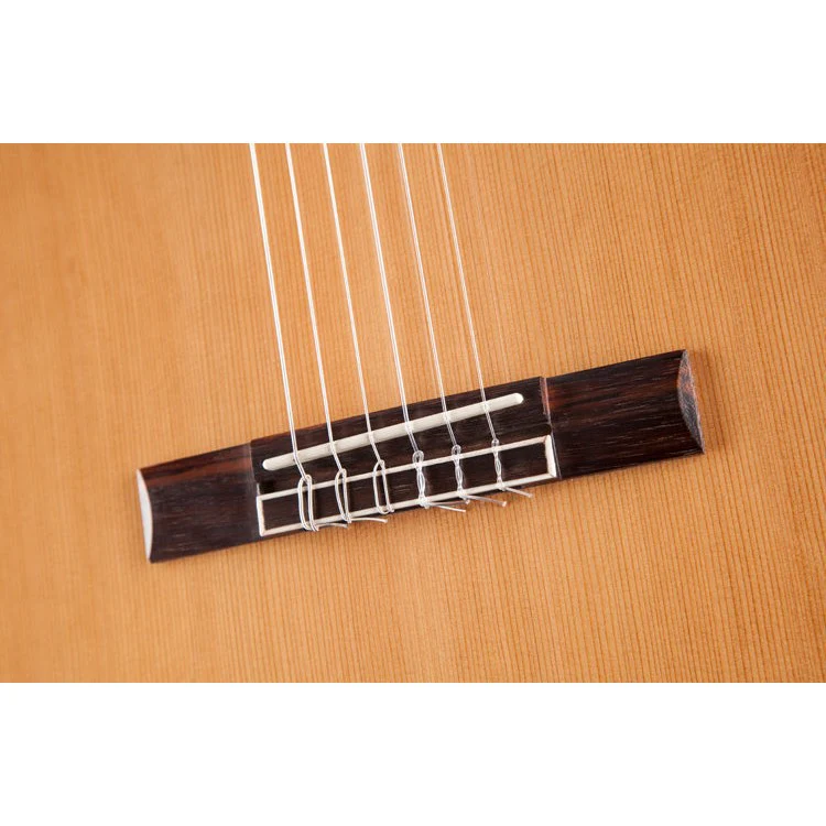 Jasmine - JC-27CE Cutaway with Fishman Pickup - Image 2