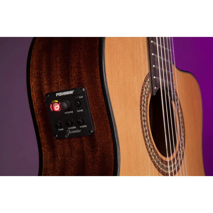 Jasmine - JC-27CE Cutaway with Fishman Pickup - Image 5