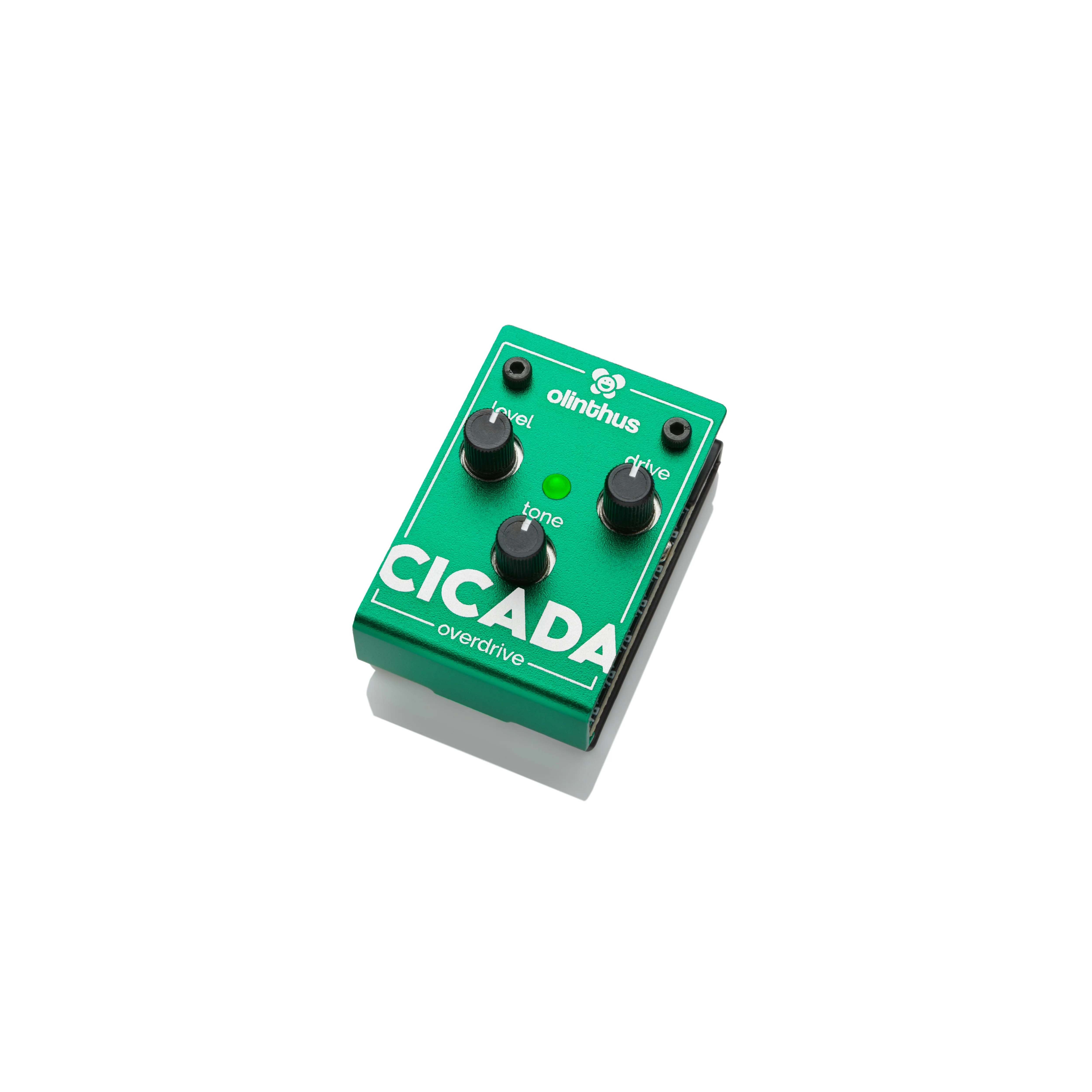 Olinthus - Cicada Overdrive – World's Smallest Guitar Effects Mini Pedal - Image 2