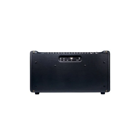 Positive Grid - Spark 40 Watt Smart Guitar Amp & App  - Black - Image 3