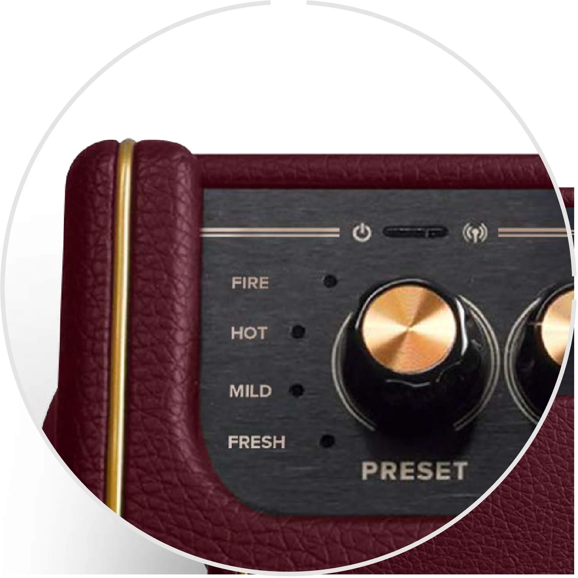 Positive Grid - Spark MINI Vai - Special Edition 10-Watt Portable Smart Guitar Amp & Compact Cable - Image 3