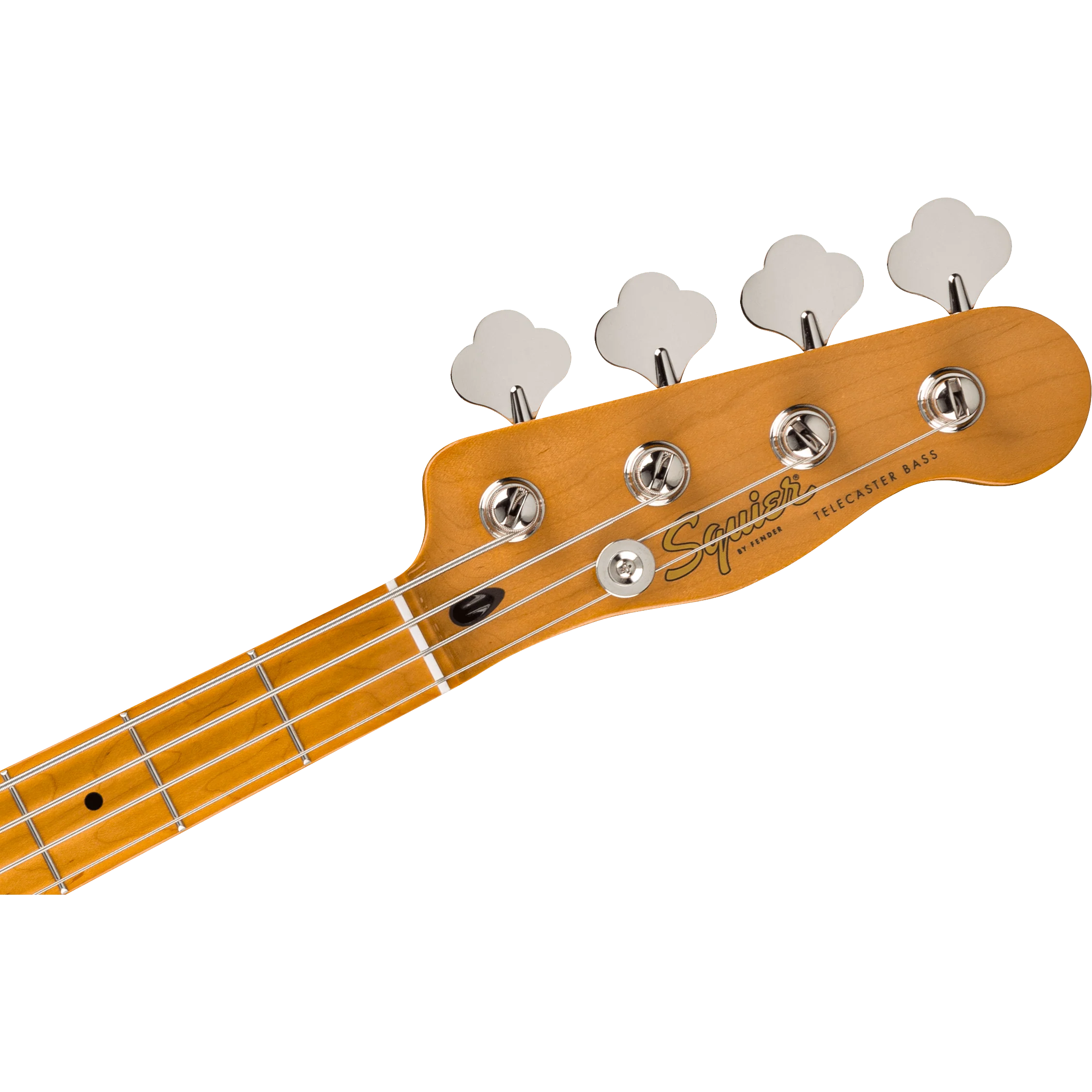 Squier - Classic Vibe™ Telecaster® Bass - Maple Fingerboard - Parchment Pickguard - Vintage White - Image 5