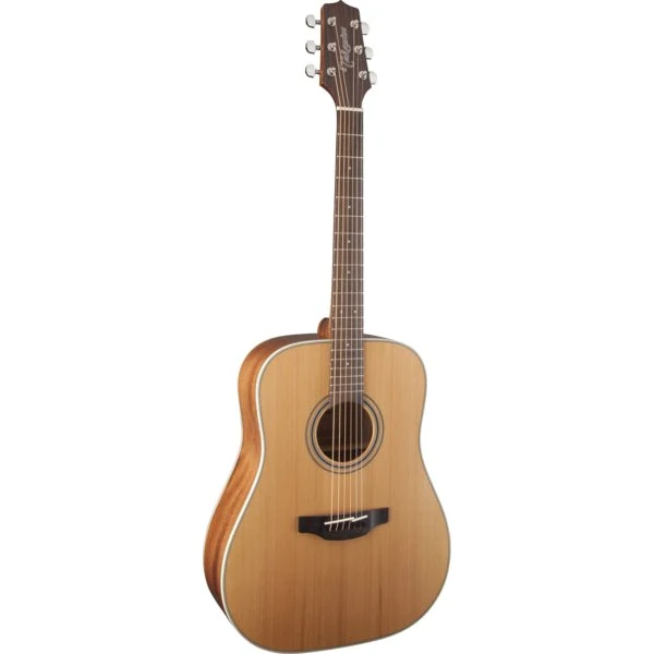 Takamine - GD20-NS - Image 2