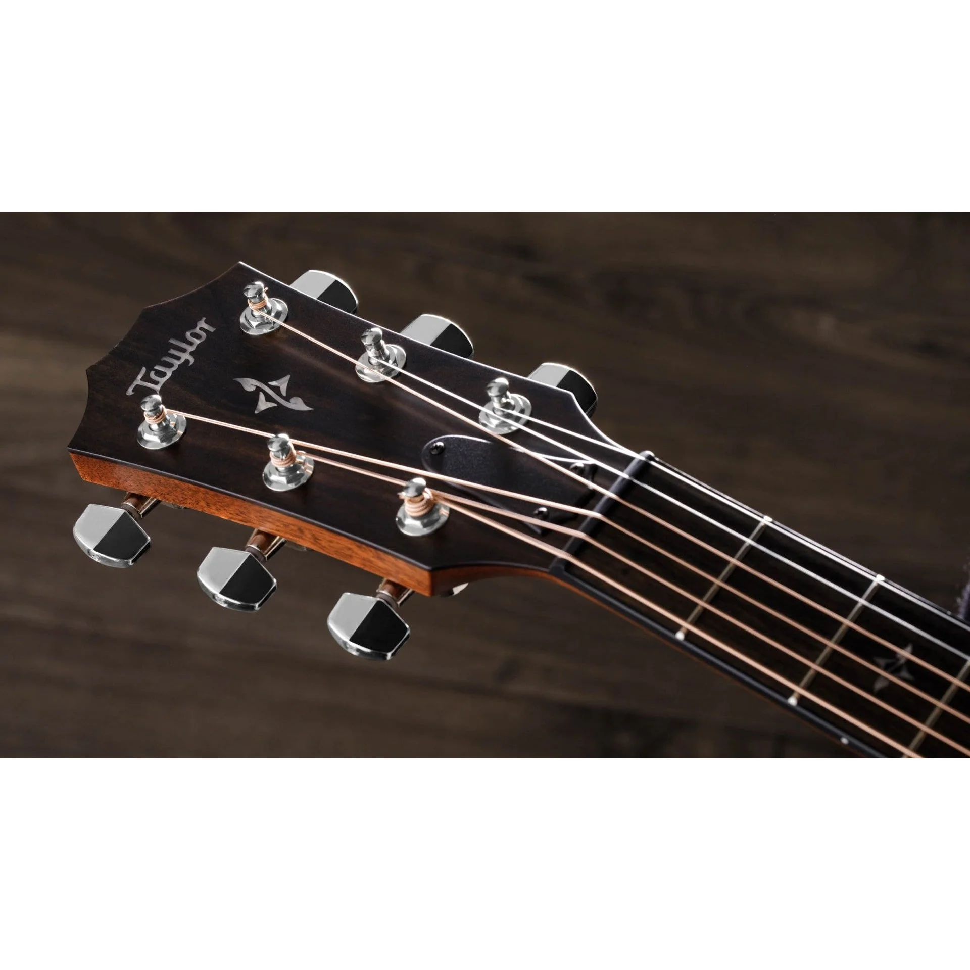 Taylor Guitars - 417e - Image 5