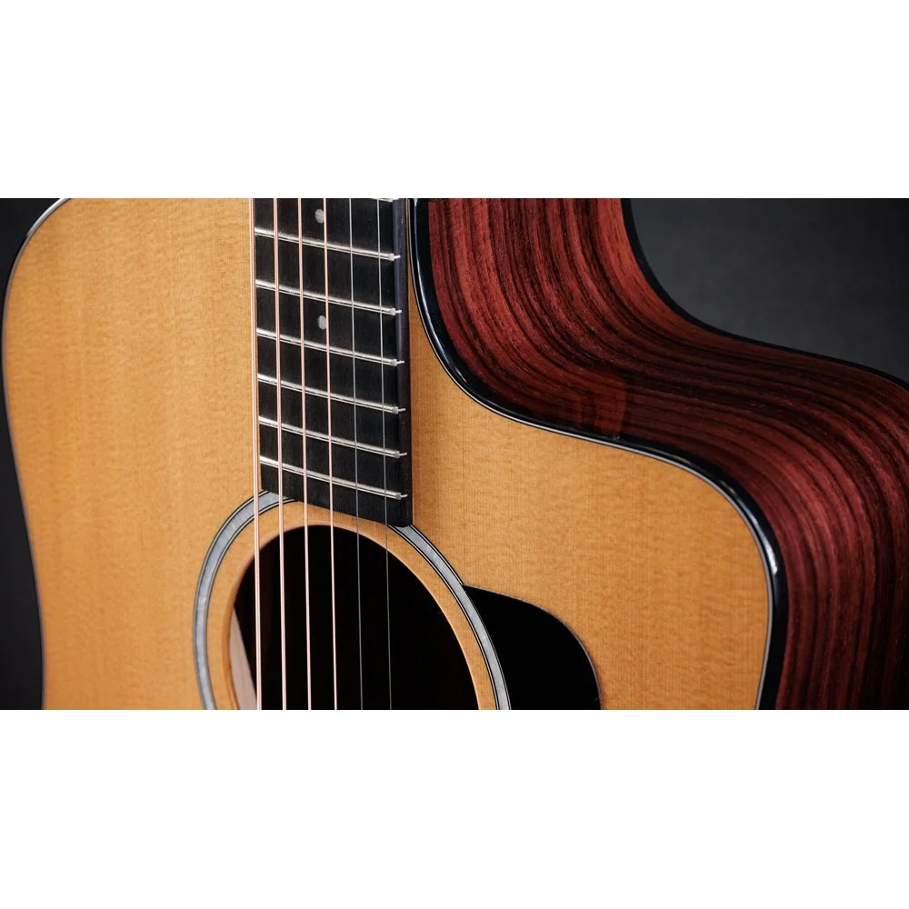 Taylor Guitars - 210ce Plus - Image 3