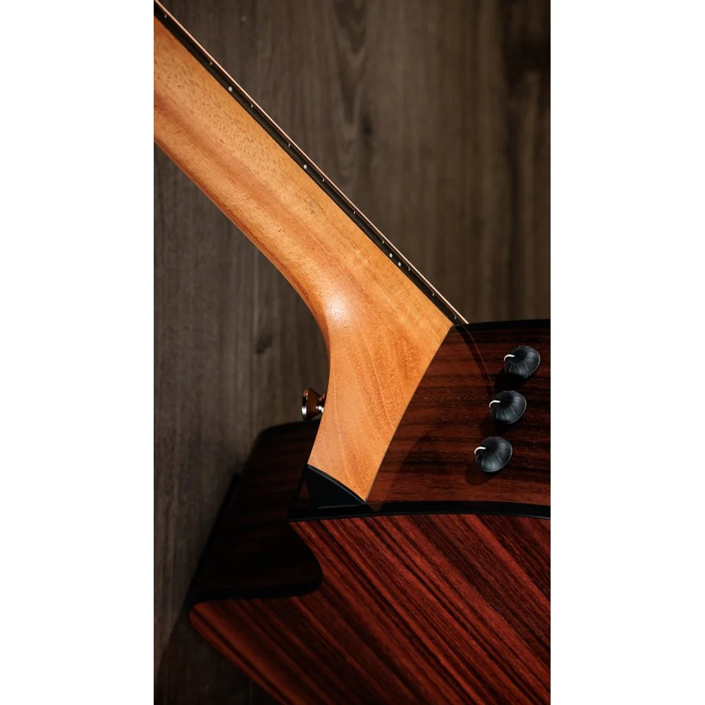 Taylor Guitars - 210ce Plus - Image 4