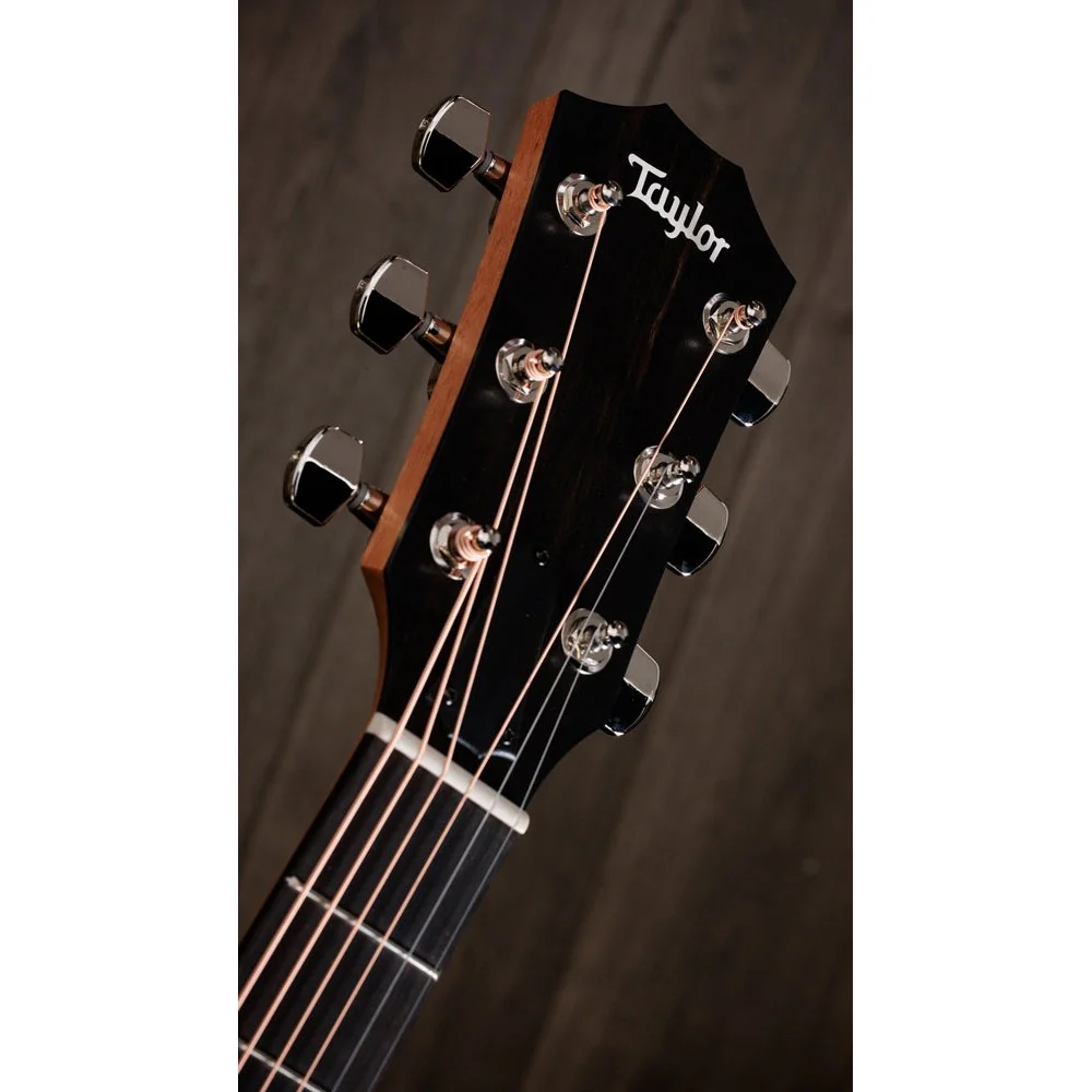 Taylor Guitars - 210ce Plus - Image 5