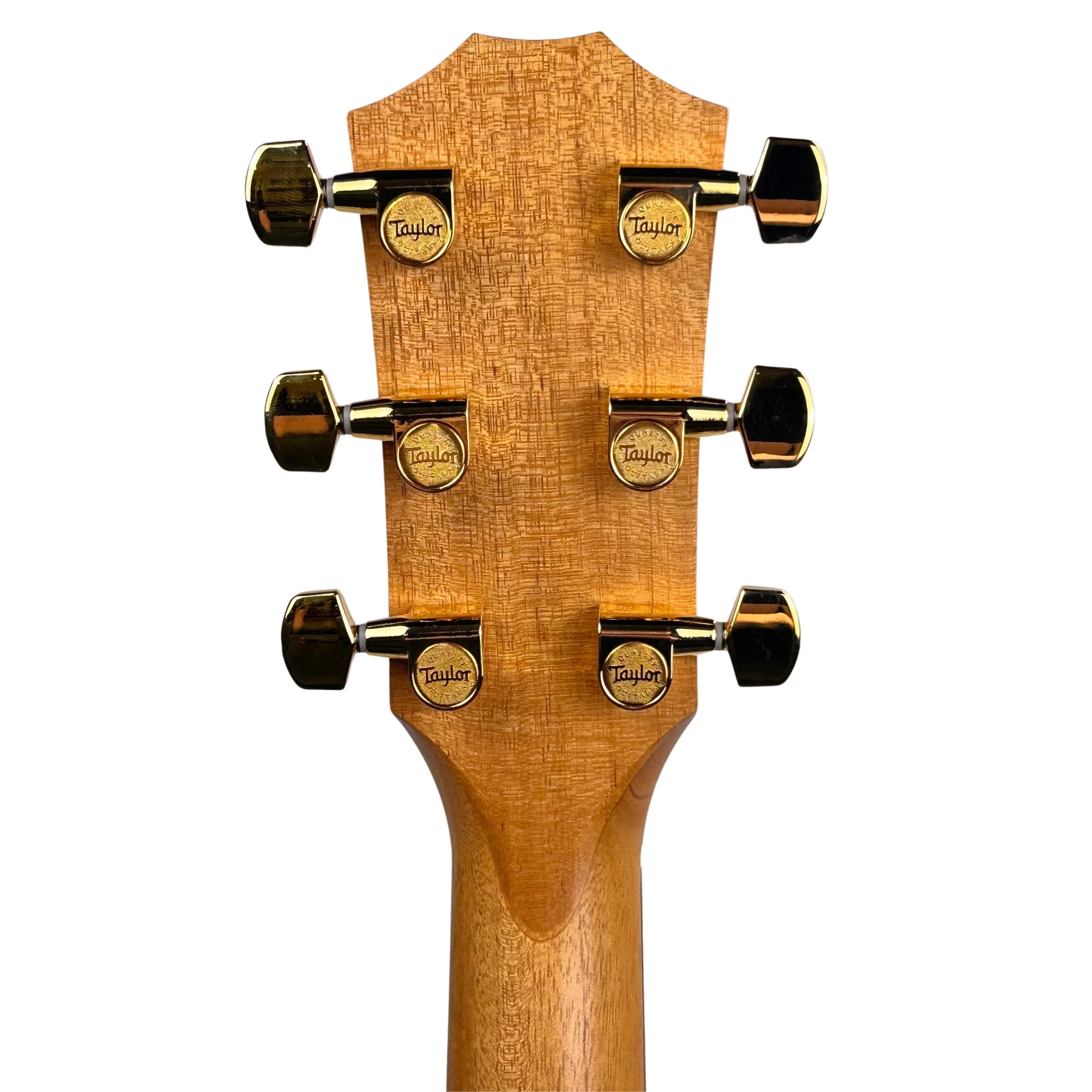 Taylor Guitars - 214ce Special Edition Grand Auditorium Tigerwood Satin Acoustic-Electric Guitar - 5395 - Image 6