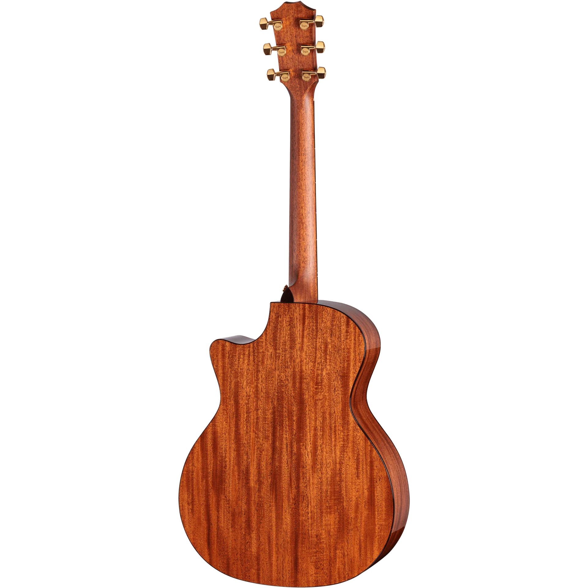 Taylor Guitars - Legacy 514ce - Image 2
