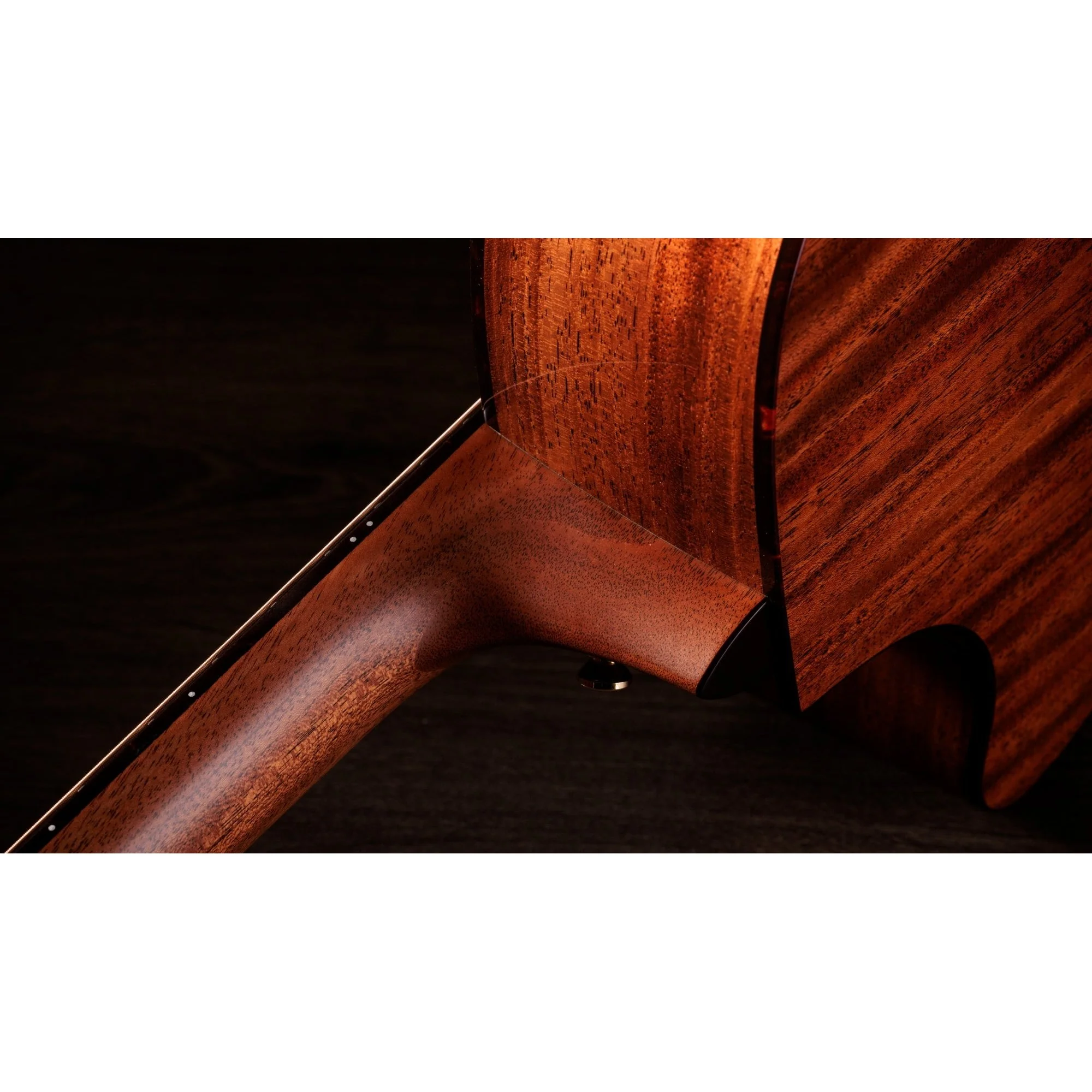 Taylor Guitars - Legacy 514ce - Image 4