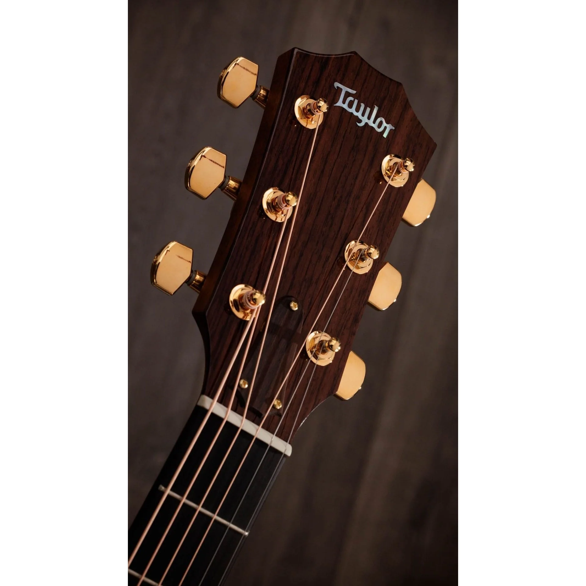 Taylor Guitars - Legacy 514ce - Image 5