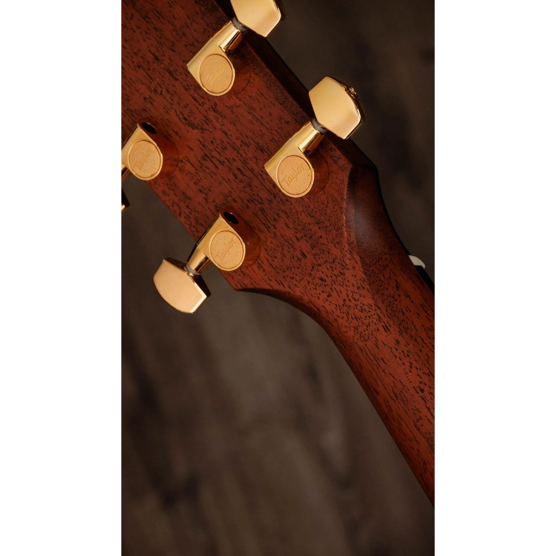 Taylor Guitars - Legacy 514ce - Image 6