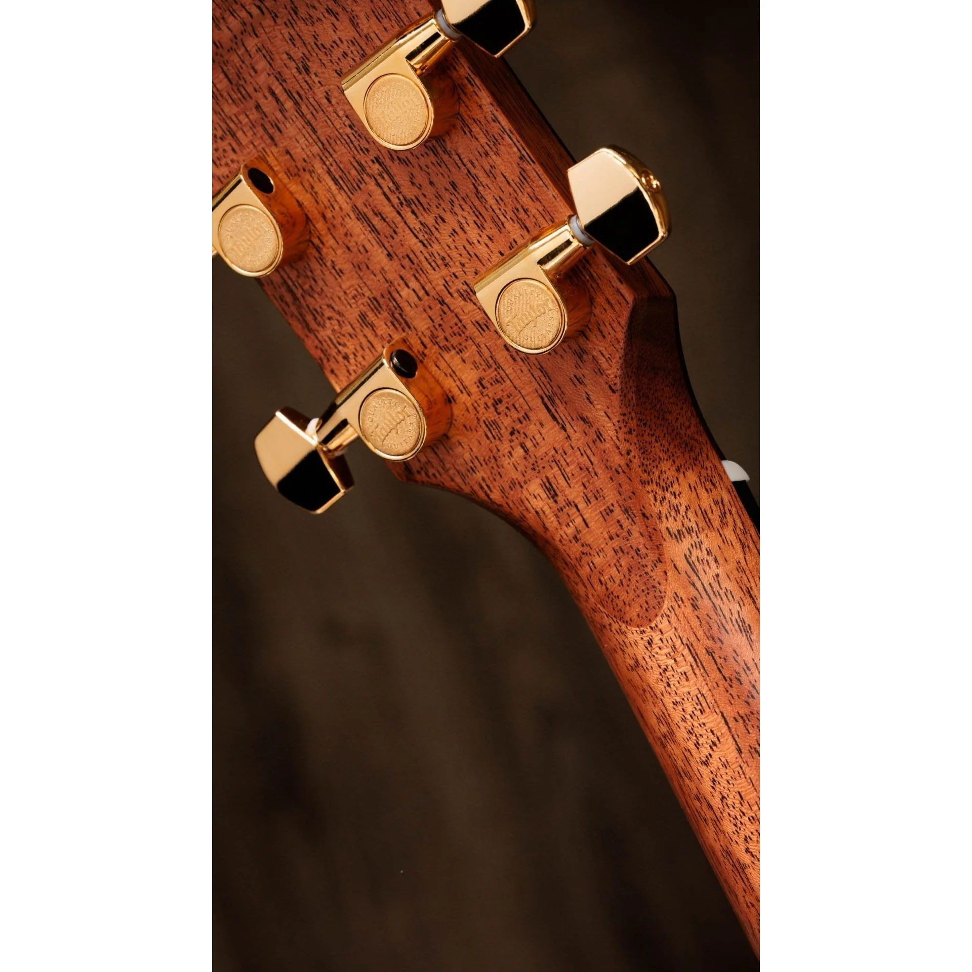 Taylor Guitars - Legacy 714ce - Image 6