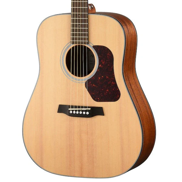 Walden - Natura 500 - Dreadnought - Solid Sitka Spruce Top  - D550E - Image 3