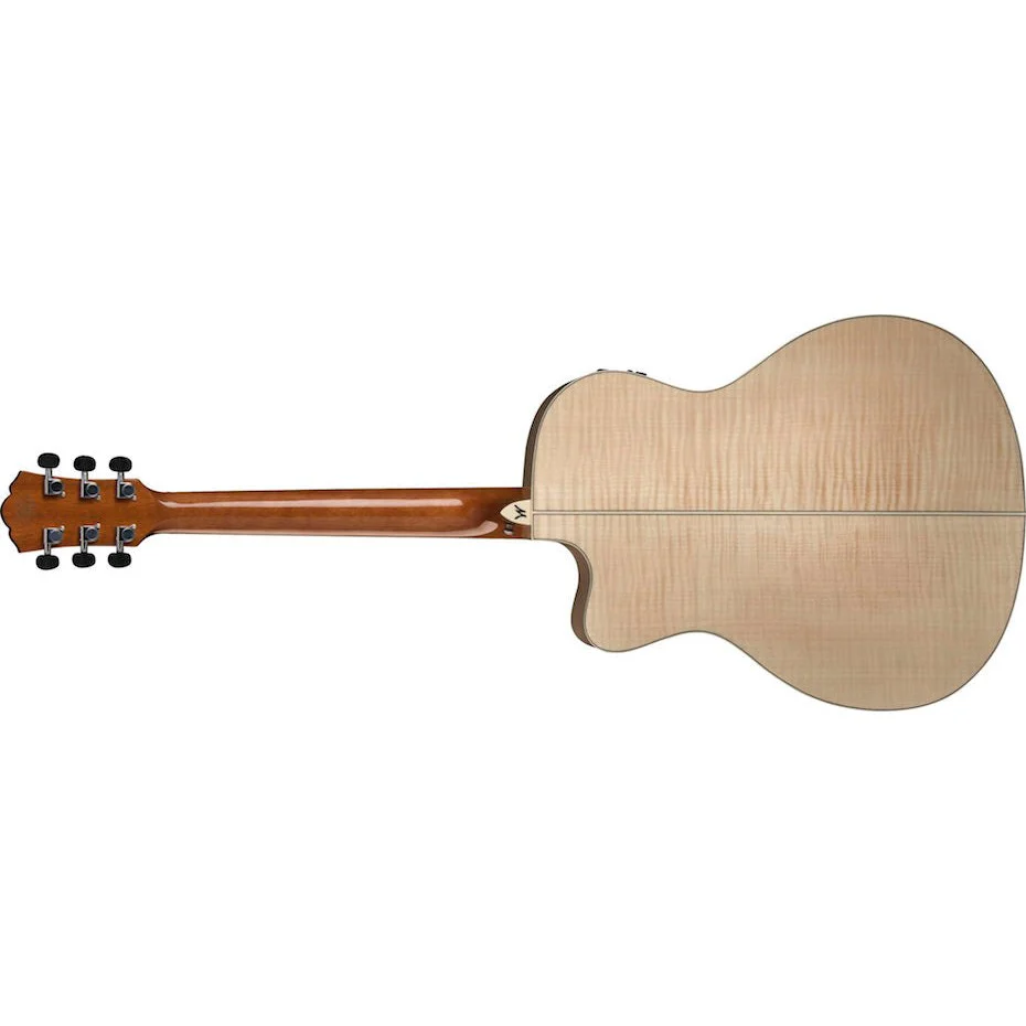 Washburn - Apprentice AG40CE - Image 2