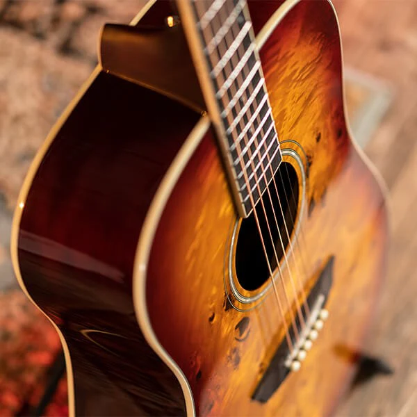 Washburn - Deep Forest Burl D  -  Amber Fade - DFBDA - Image 3
