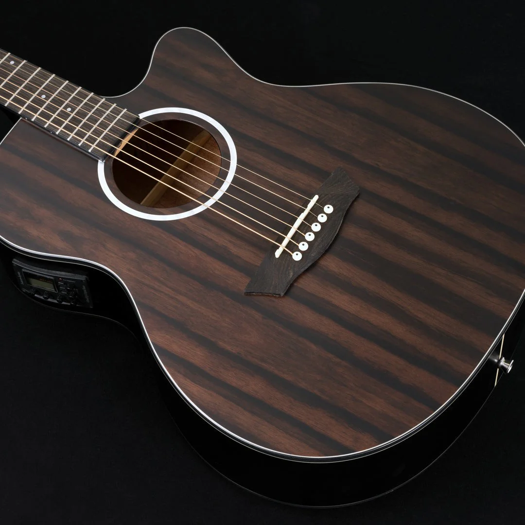 Washburn - Deep Forest Ebony Ace Striped Ebony DFEACE-A-U - Image 2