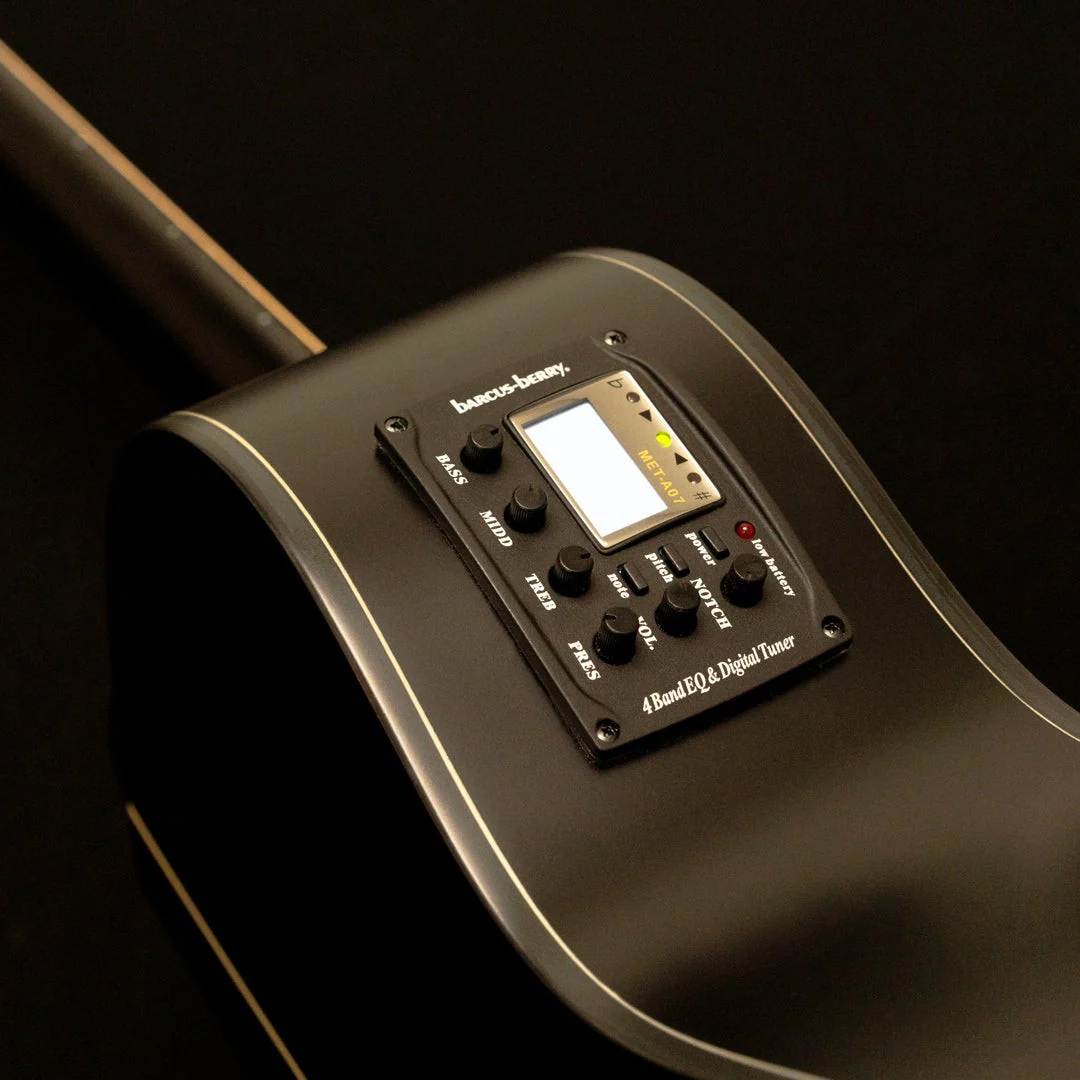 Washburn - Deep Forest Ebony Ace Striped Ebony DFEACE-A-U - Image 3