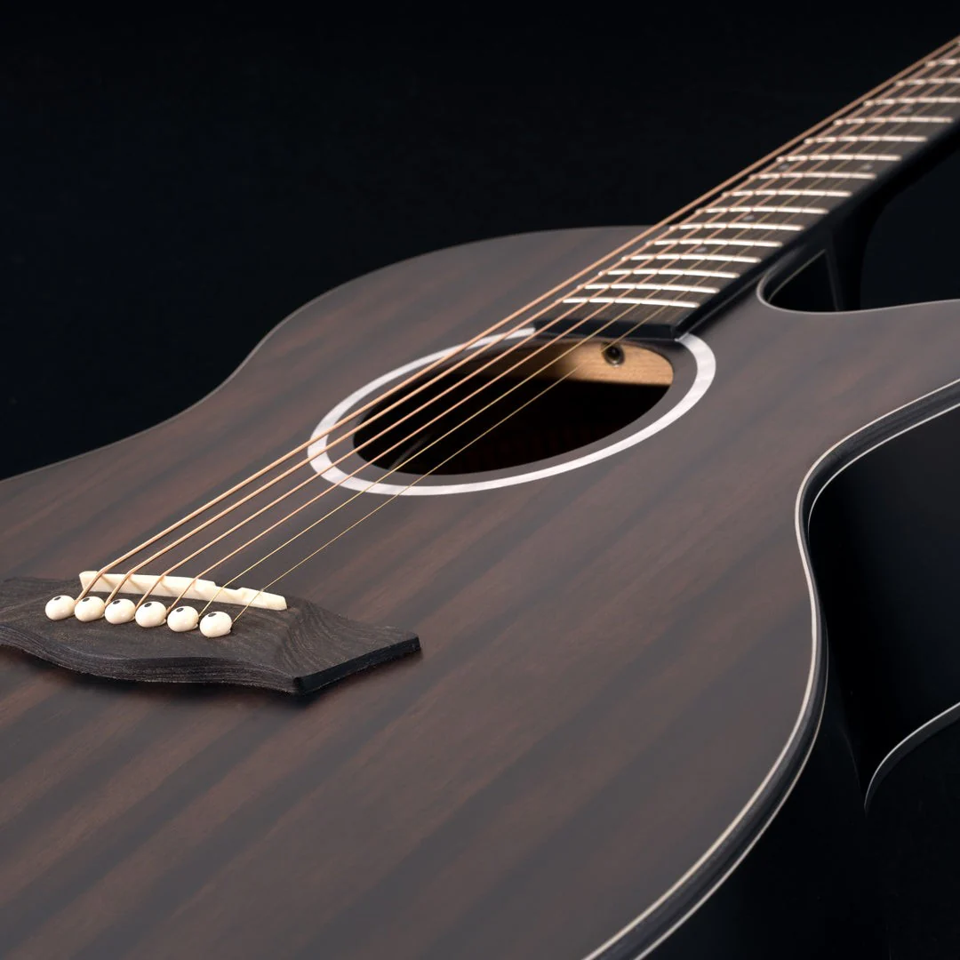 Washburn - Deep Forest Ebony Ace Striped Ebony DFEACE-A-U - Image 4