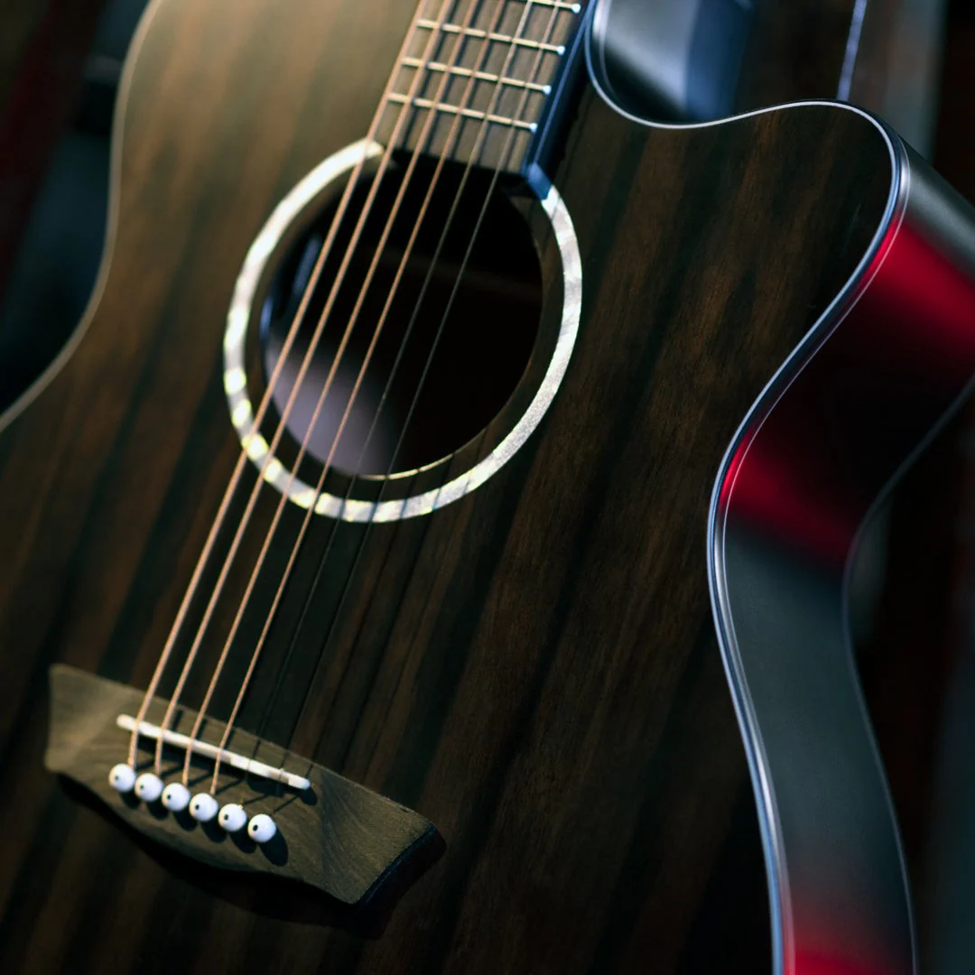 Washburn - Deep Forest Ebony Ace Striped Ebony DFEACE-A-U - Image 5