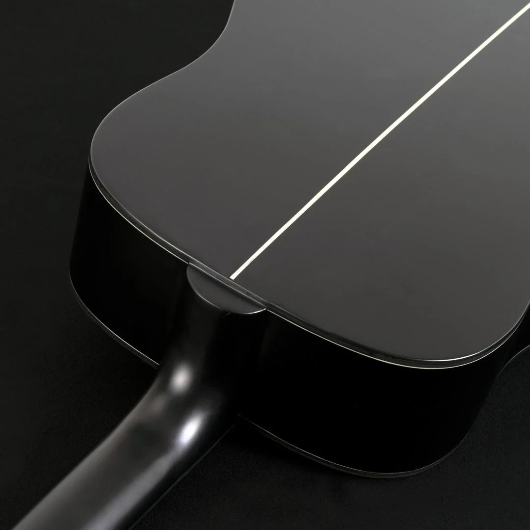 Washburn - Deep Forest Ebony D Striped Ebony DFED-A-U - Image 2