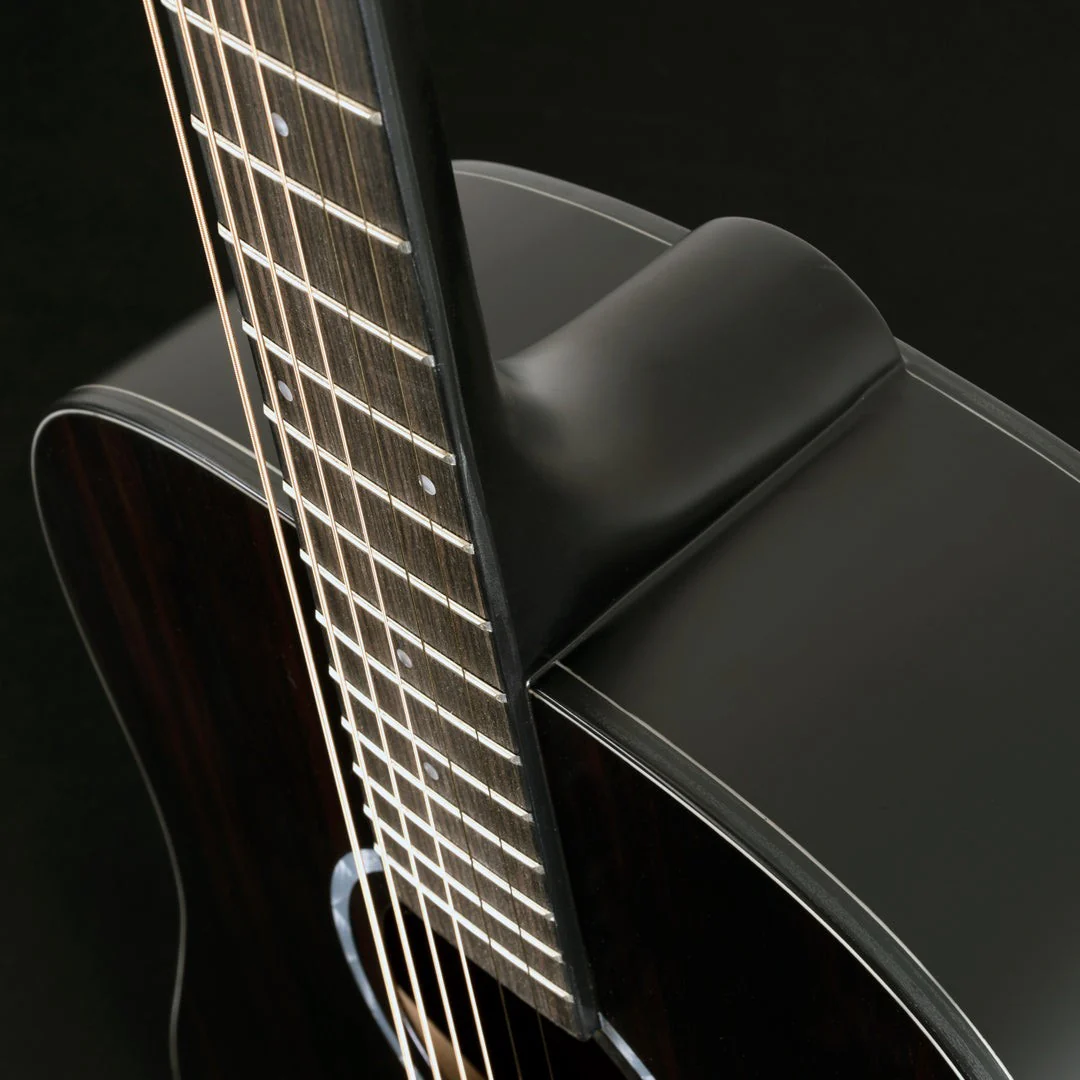 Washburn - Deep Forest Ebony D Striped Ebony DFED-A-U - Image 4