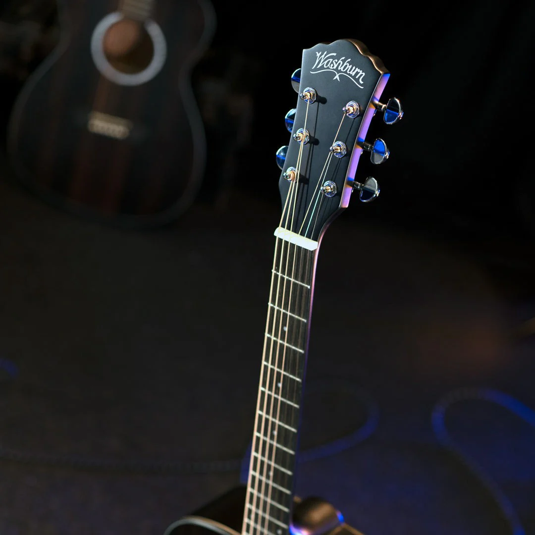 Washburn - Deep Forest Ebony D Striped Ebony DFED-A-U - Image 5