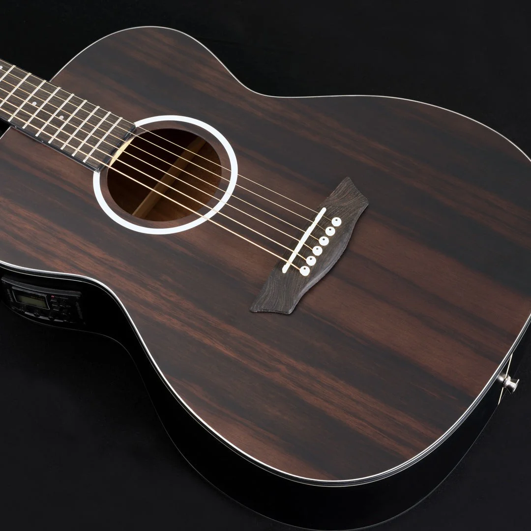 Washburn - Deep Forest Ebony Fe Striped Ebony DFEFE-A-U - Image 2