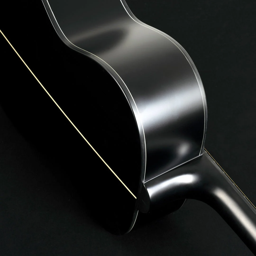 Washburn - Deep Forest Ebony Fe Striped Ebony DFEFE-A-U - Image 3
