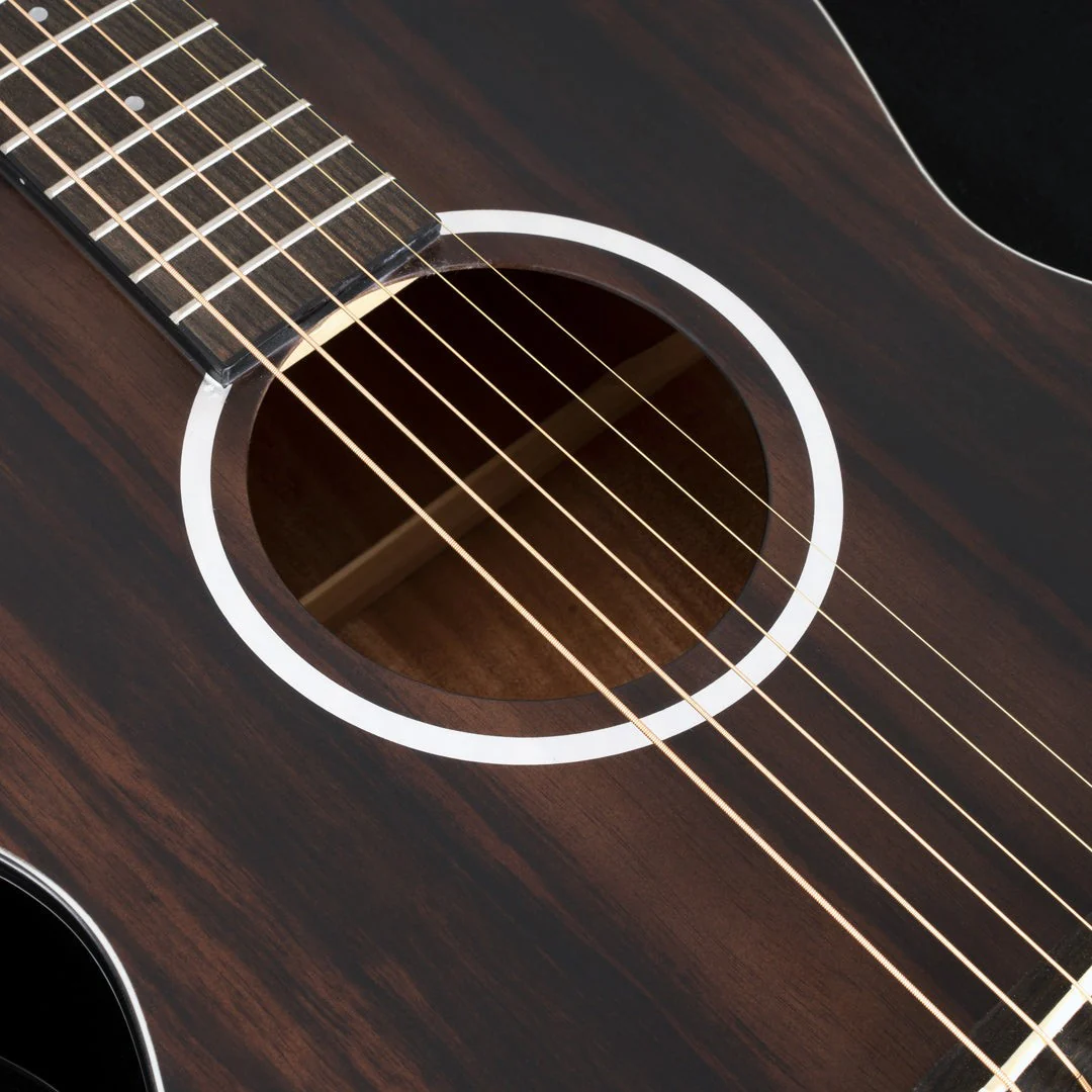 Washburn - Deep Forest Ebony Fe Striped Ebony DFEFE-A-U - Image 5